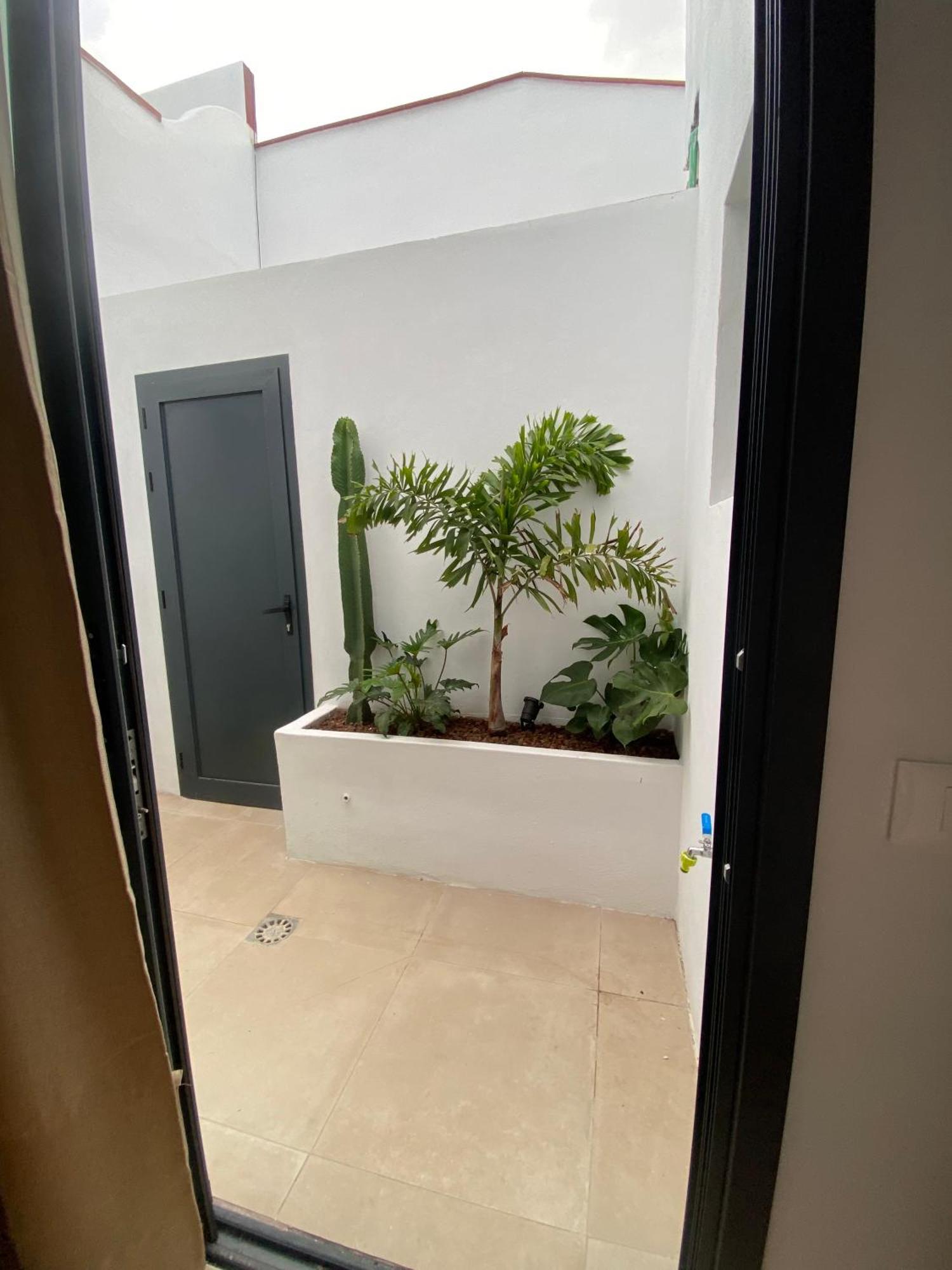 Casa Costa Apartments Bajamar  Extérieur photo